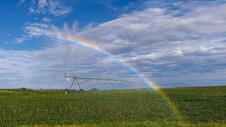 Irrigation from a center pivot forms a rainbow.