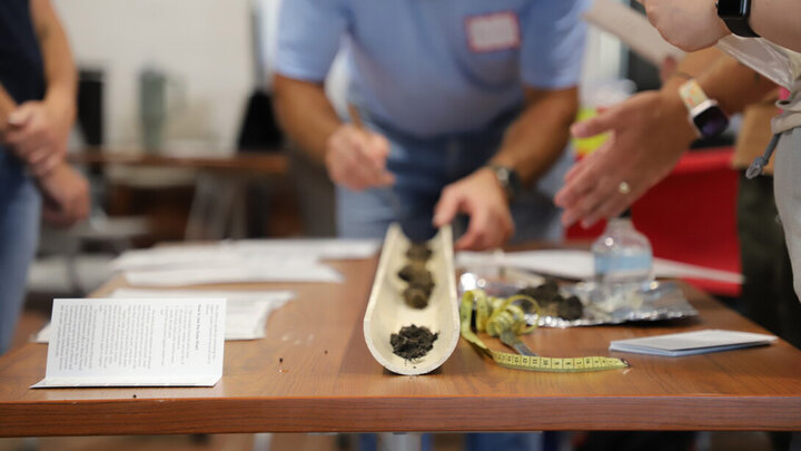 Teachers do an activity during the workshop.